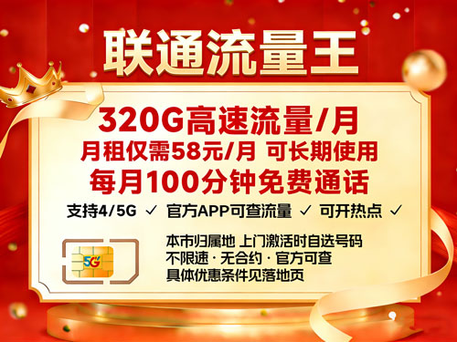 联通流量王58元320G+100分钟【仅发广东省惠州市】-卡七七
